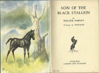 Son of Black Stallion UK 1st